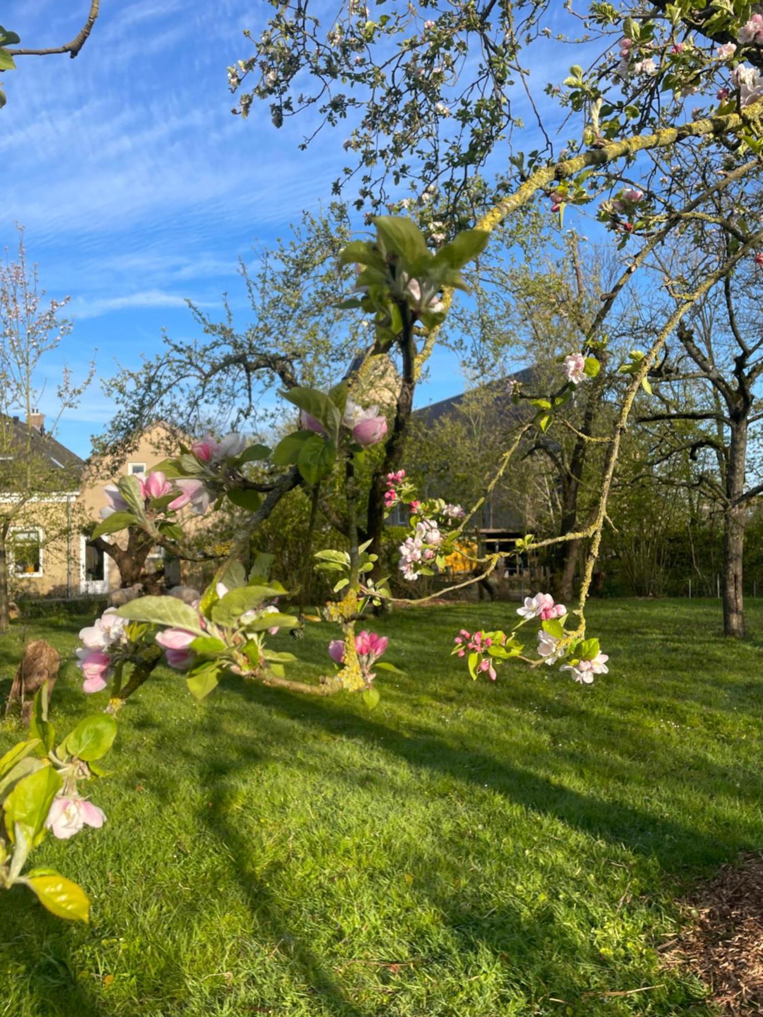 Appartement De Dageraad In Monumentale Boerderij Kimswerd Экстерьер фото